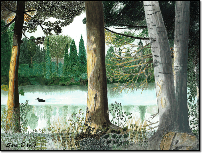 "Behind Cabin 8"-Watercolor Pen and Ink Painting by Sam Davis 2024